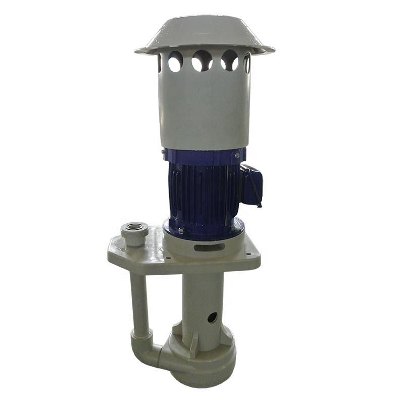Vertical Acid And Alkali Resistant Pump Submersible Water Pump