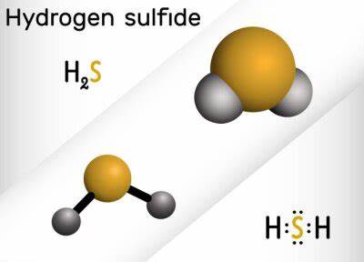 H2S hydrogen sulfide