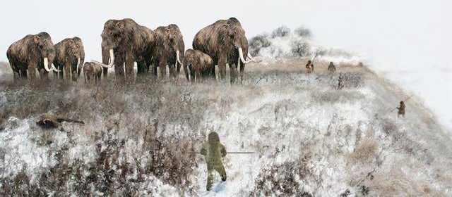 accelerated species extinction