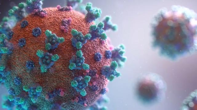 COVID-19 delta virus