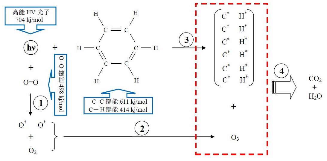 The mechanism of photolysis and oxidation of benzene molecule
