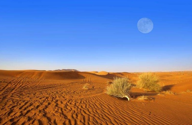 desertification