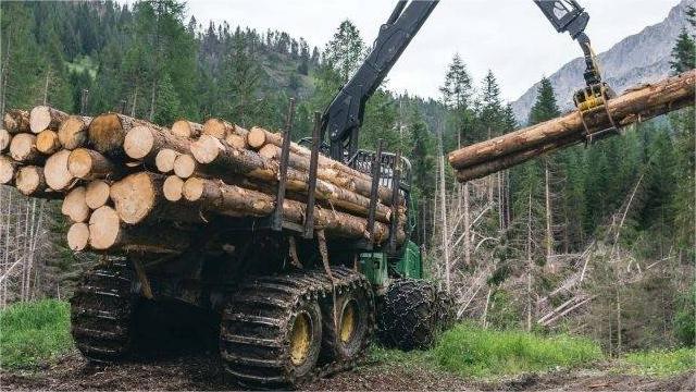 drastic reduction in forests