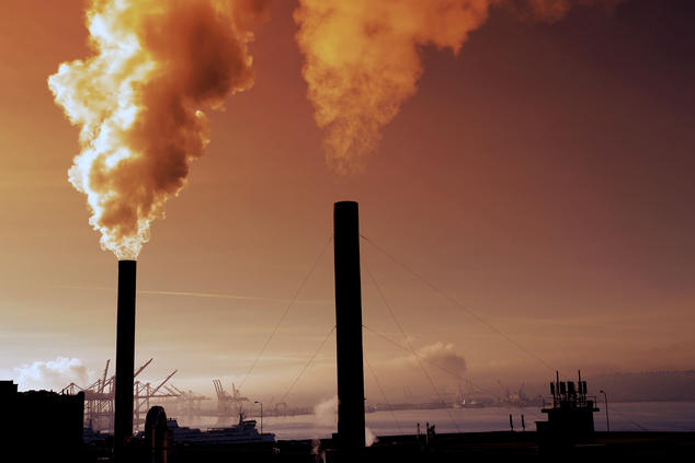 Effects of Air Pollution